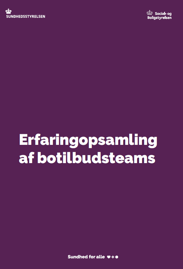 Billede af forside til udgivelsen Erfaringsopsamling af botilbudsteams