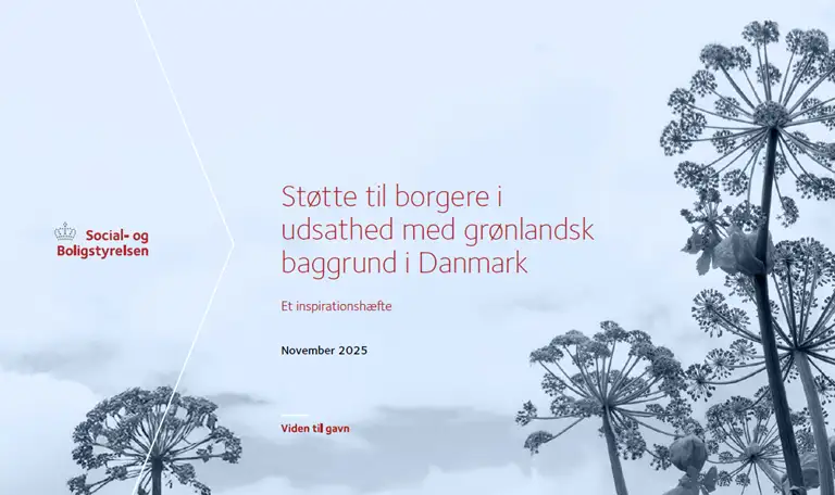 Billede af publikationens forside