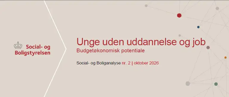 Social- og Boliganalyse - Unge uden uddannelse og job